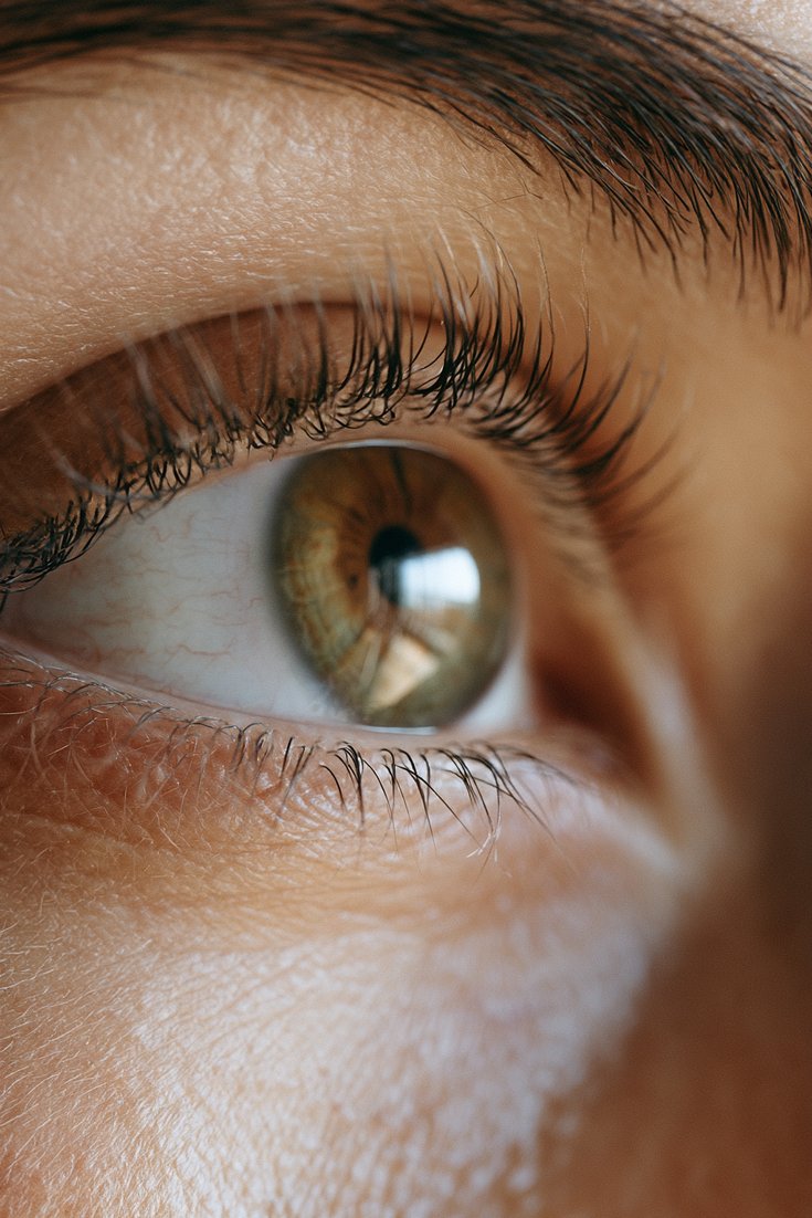 Close-up of a natural eye with curled, lifted lashes and no tint or mascara