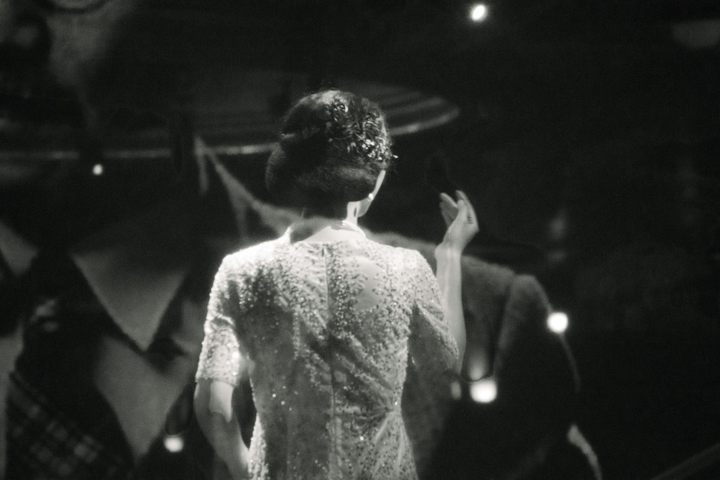 Woman with an ornate updo seen from behind