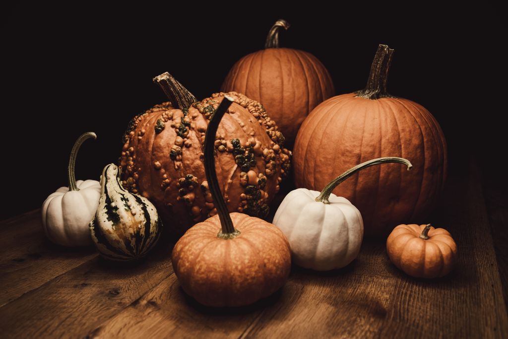 Orange, white and warty pumpkins grouped on a dark wooden sideboard for a cozy Thanksgiving display