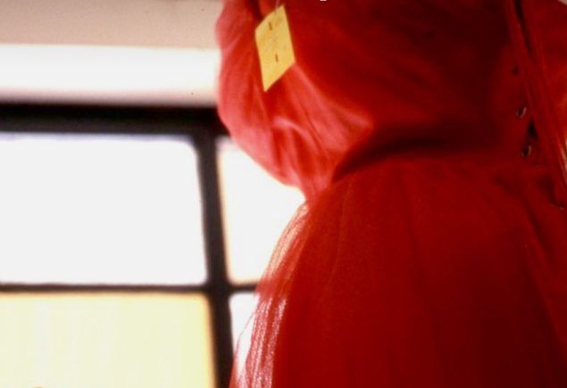 Red dress on a mannequin by a window with the headline red dress with pockets