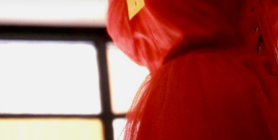 Red dress on a mannequin by a window with the headline red dress with pockets
