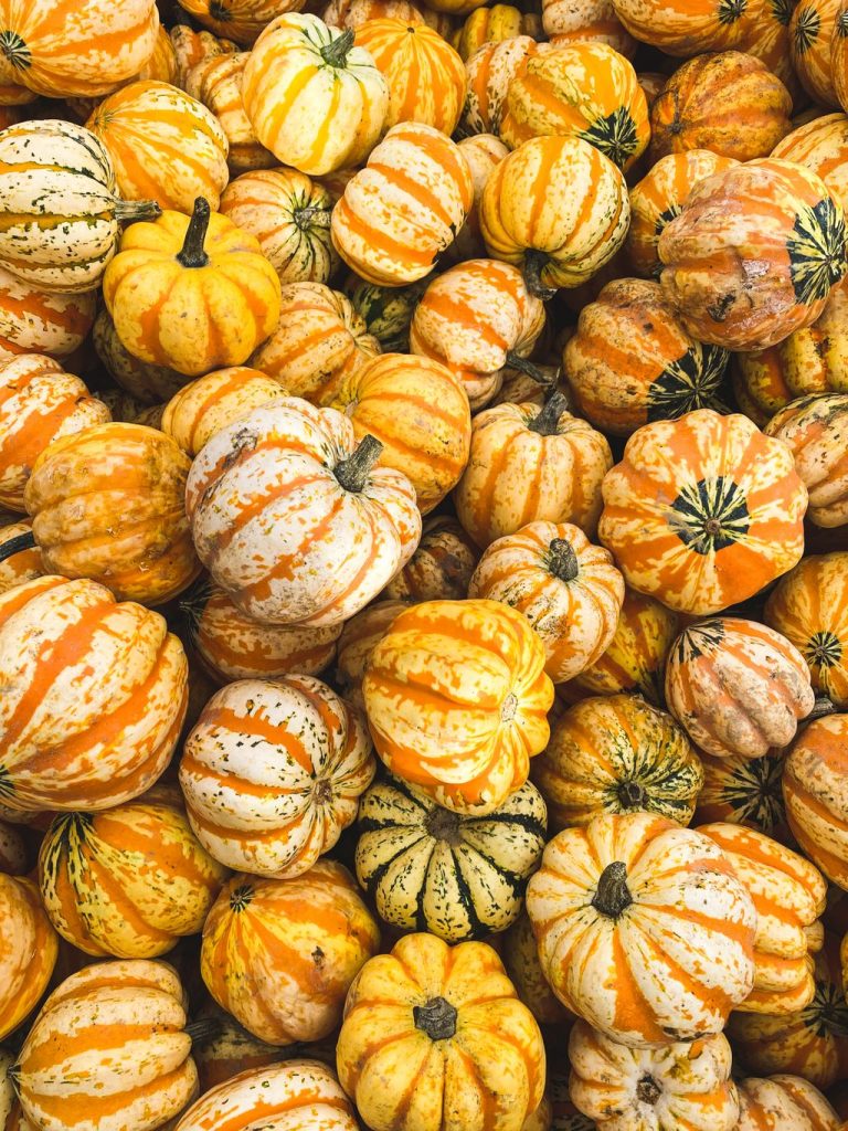 Pile of striped yellow and orange ornamental gourds, a long-lasting autumn decoration that will not wilt before Thanksgiving